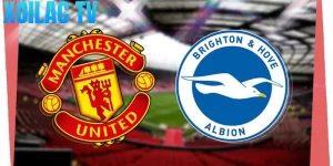 Nhận định Manchester United – Brighton vào lúc 23:30 ngày 25/10