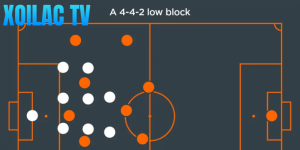 Low block – Mid block – High block là gì?